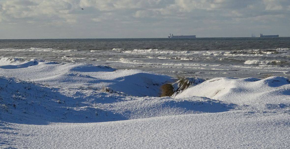 Rechtbank Oost-Brabant veroordeeld; Privacy werknemer heikel; TikTok-massaclaim deels voortgezet